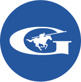 Скло Guardian