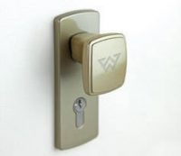 Оливковий з золотом RAL 1035 Оливковий з золотом RAL 1035