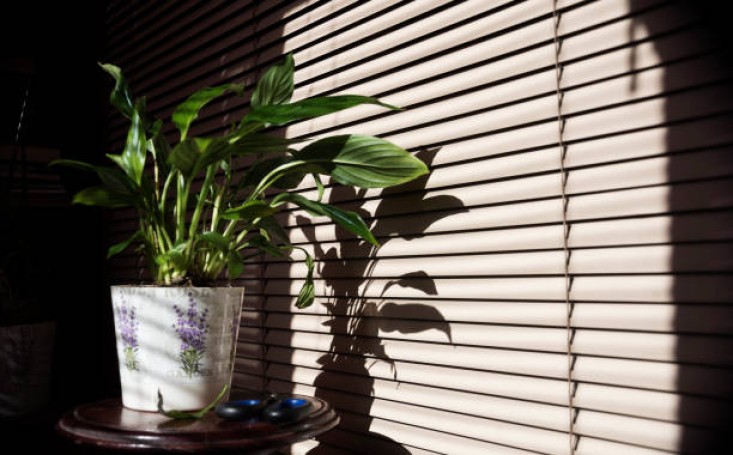 Жалюзі на вікна